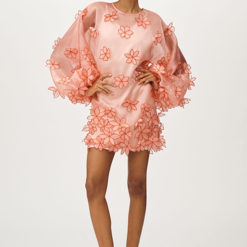 Anthropologie Dress